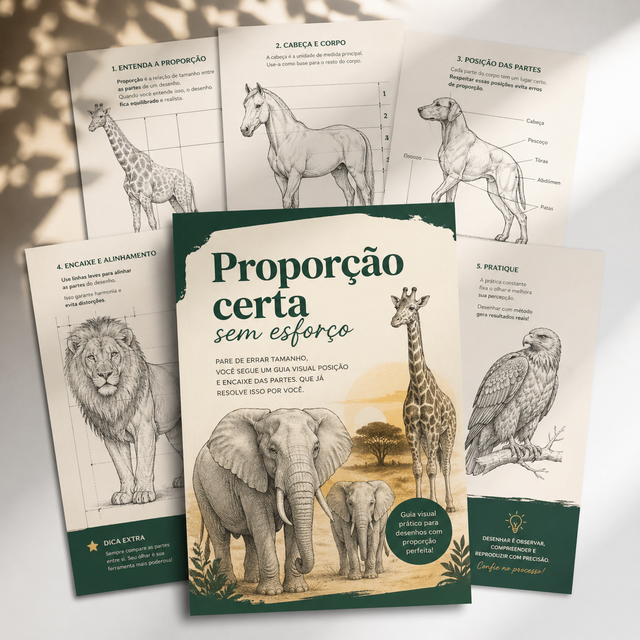 Eventos Cronológicos 365